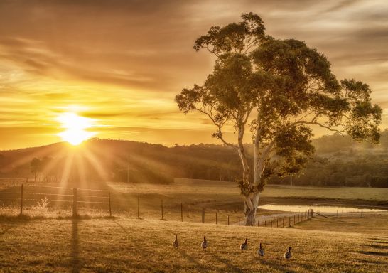 Sunset in Berrima - Southern Highlands. Image Credit Kramer Photography www.kramer.photography